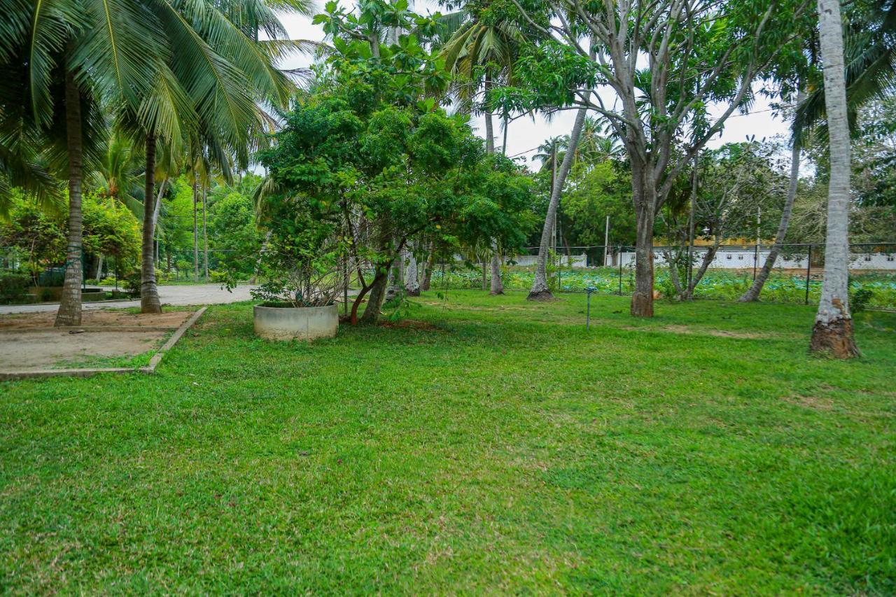 Lake Edge Holiday Inn Tissamaharama Exterior foto